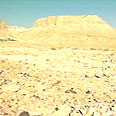 מה אכלו הנצורים במצדה