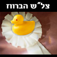 תגובה הולמת