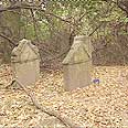 IDF considering removing graves from Gaza cemetery (illustration) 