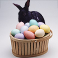 Easter bunny