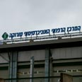 צילום: עופר מאיר