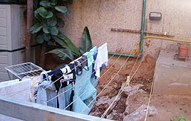 "הייתי שמחה אם היו שותלים כאן פרחים". גינת ההוסטל