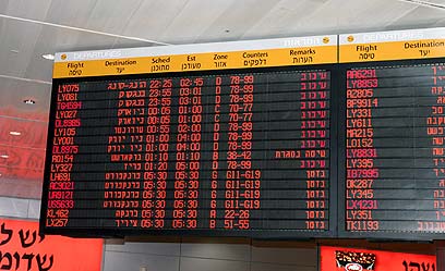 צילום: עופר עמרם