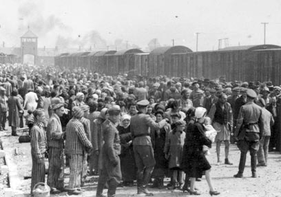 Селекция в Освенциме, 1944 год. Фото: AFP