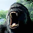 קינג קונג. זה מגיע