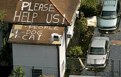 קריאה לעזרה בניו אורלינס אחרי הוריקן קתרינה (צילום: איי אף פי) (צילום: איי אף פי)