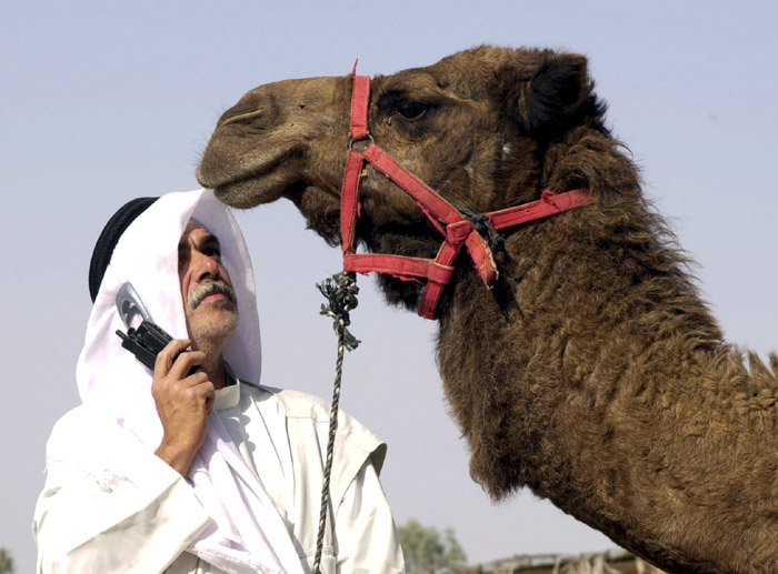 סליחה, מה המספר שלך?