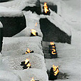 Shoah's tragic history – Auschwitz ceremony