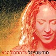 מור שטייגל - עד המבול הבא