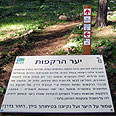 צילום: כליל אדר