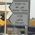 צילום: אוהד קינר