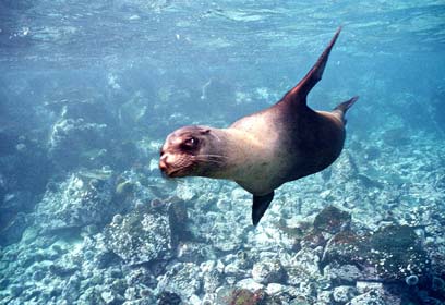 צילום: מישל בראונשטיין צילום: מישל בראונשטיין