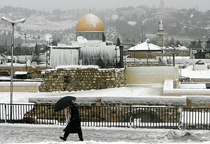 צילום: רויטרס