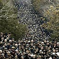 הפגנת האופוזיציה בירוואן      