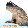 בואו לבחור בנשר המקראי - לחצו על התמונה