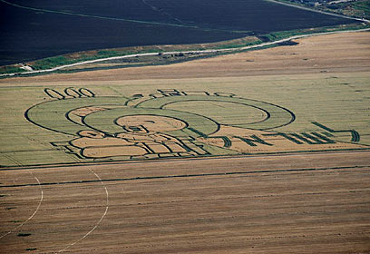 צילום: דוד עינב