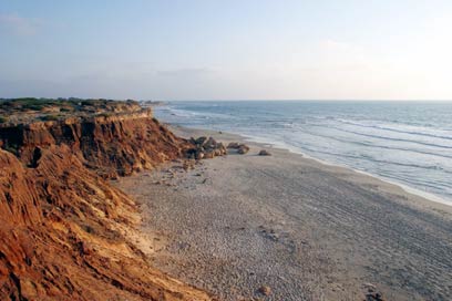 רכס הכורכר בחוף השרון  (צילום: דורון ניסים, רשות הטבע והגנים) (צילום: דורון ניסים, רשות הטבע והגנים)