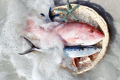 אומגה 3 מגיעה מדגי ים, אבל קיימת גם בכדורים (צילום: ויז'ואל פוטוס) (צילום: ויז'ואל פוטוס)