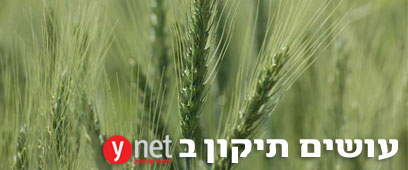 צילום: מיכאל חורי