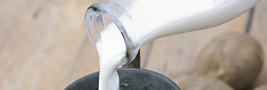 אנציקלופדיה ynet, חלב. צילום: ויז&#39;ואל/פוטוס