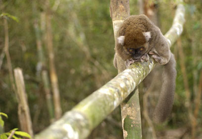 צילום: Jonathan Linus Fiely