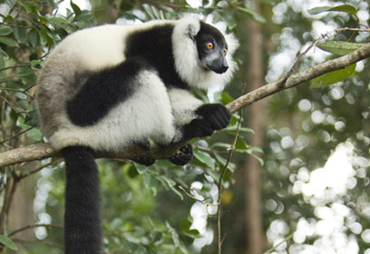 צילום: CI /Sterling Zumbrunn