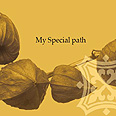 השביל המיוחד שלי