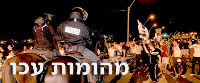 צילום: ערן יופי כהן צילום: ערן יופי כהן