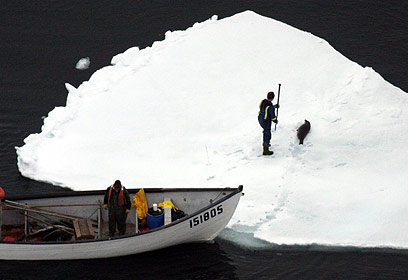 צילום: HSUS צילום: HSUS