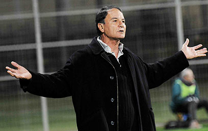 צילום: אביהו שפירא צילום: אביהו שפירא