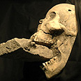 הגולגולת שנמצאה. עדות נדירה להרג ערפדים