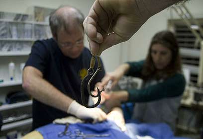 צילום: רויטרס