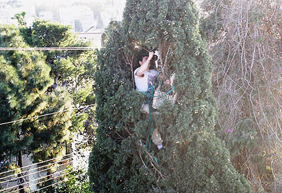 צילום: עומרי מליס