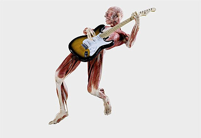 צילום: מייק פריזבי צילום: מייק פריזבי