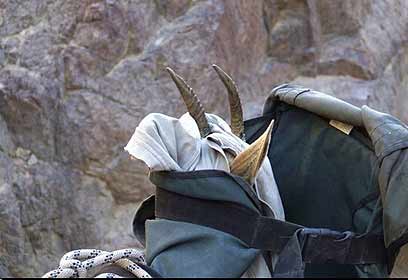 צילום: שירי בירן, רשות הטבע והגנים