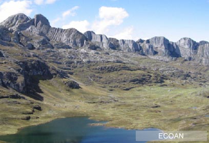 צילום: WWF - CI