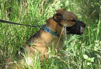 צילום: רקפת דפני-מן צילום: רקפת דפני-מן