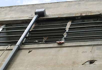 באדיבות אבי קוזי