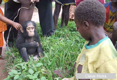 צילום: Cleve Hicks