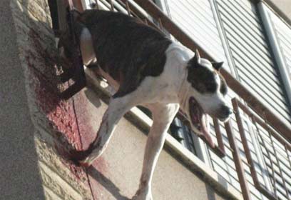 באדיבות דוברות כיבוי אש והצלה פ"ת