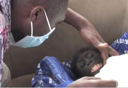 צילום: gorilla.cd צילום: gorilla.cd