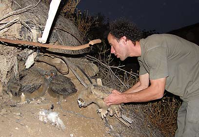 צילום: עזרא חדד