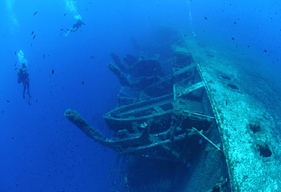 צילום: אפרודיטה 2009 צילום: אפרודיטה 2009