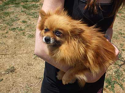 צילום: דן בנצור צילום: דן בנצור