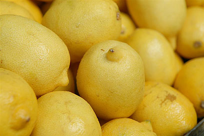 לימון צהוב (צילום: ירון ברנר) (צילום: ירון ברנר)