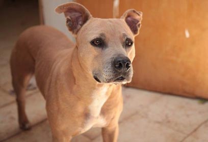 צילום: אורי גרון