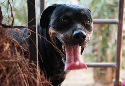 צילום: אורי גרון