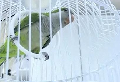 צילום: דלית שחם