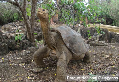 צילום: Parque Nacional Galápagos