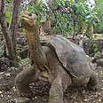 צילום: Parque Nacional Galápagos